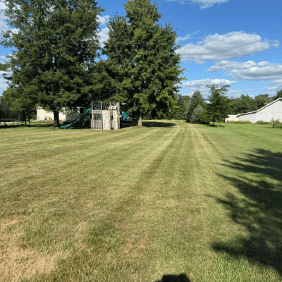 LAWN MOWING